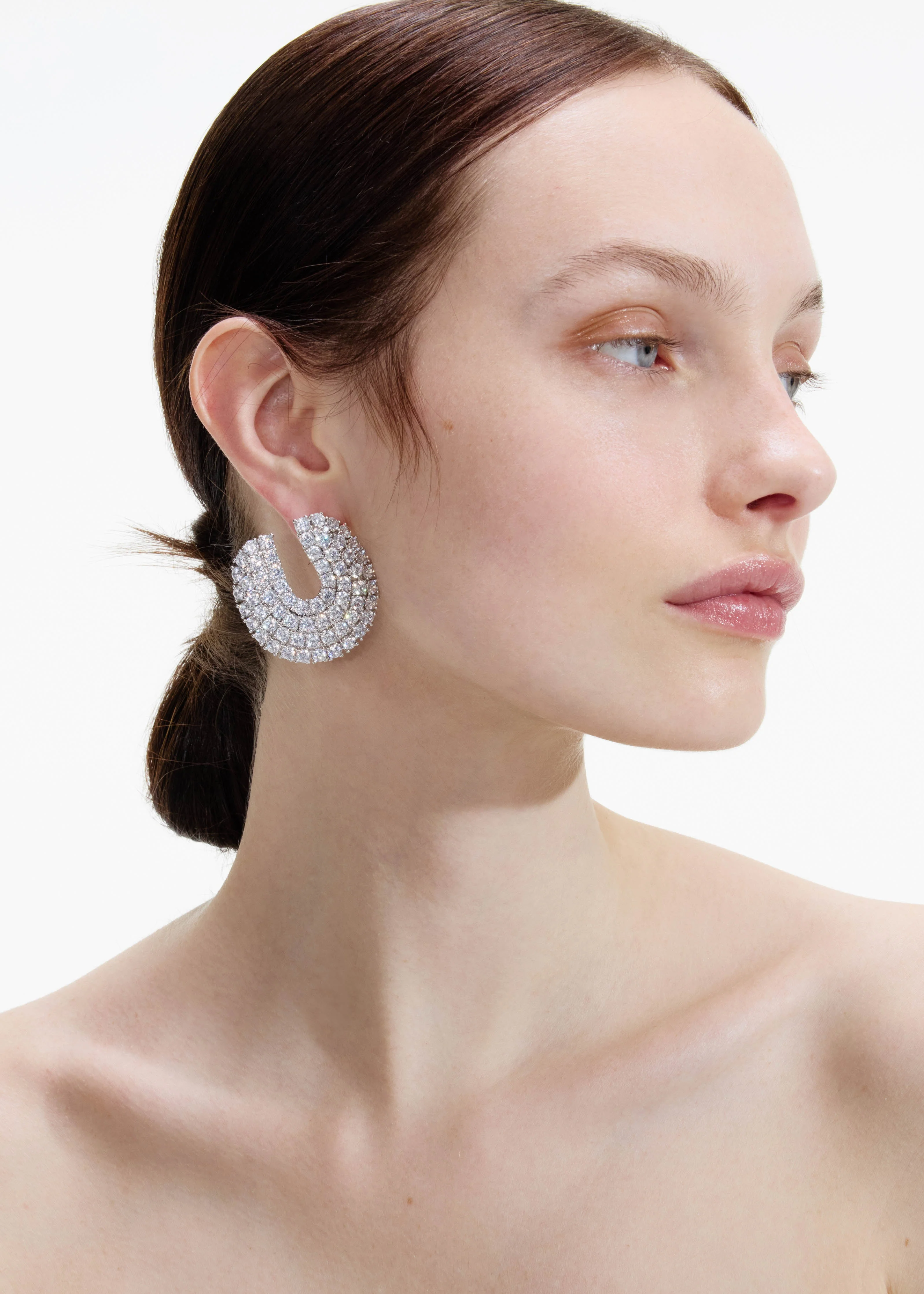 Crystal Curved Earrings - Image 2